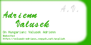 adrienn valusek business card